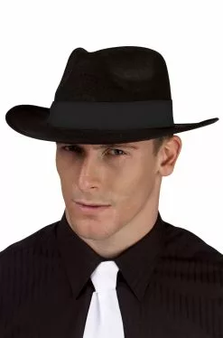 Fedora Hat Accessory