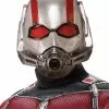 2018 Ant-Man 1/2 Mask (Adult)